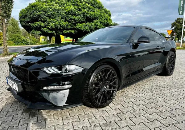 ford mustang opolskie Ford Mustang cena 265000 przebieg: 10000, rok produkcji 2020 z Opole